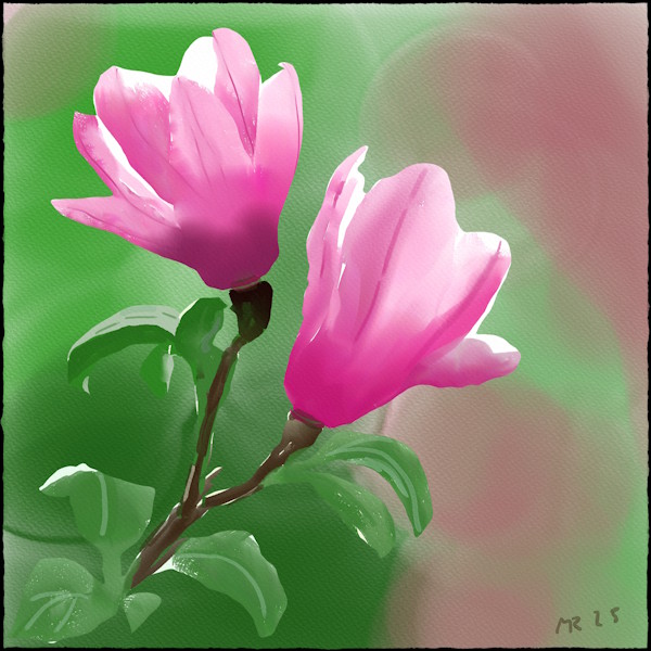 Magnolienblüten in zarten Rosa- und Grüntönen