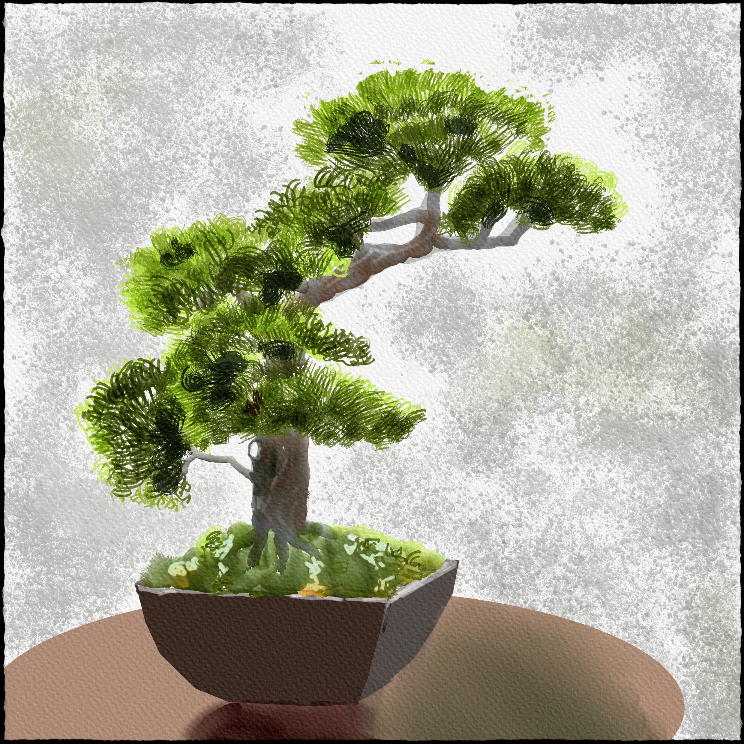 Bonsai Aquarell