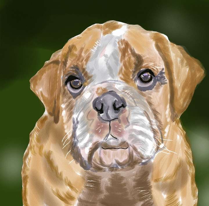 Hund Tagbebuch Rebelle 8 Aquarell